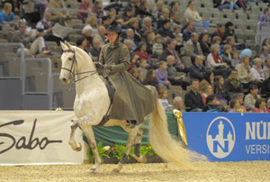 Faszination Pferd 2012